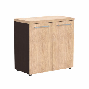 Шкаф с глухими малыми дверьми и топом ALC 85.1 850х456х834 ALTO